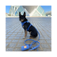 Correa para Perro Impermeable