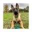 Correa para Perro Impermeable