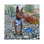 Correa para Perro Impermeable