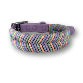 Collar para Perro Bimba