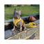 Correa para Perro Impermeable