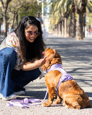 Porta bolsas para Perro Lavanda de Sevilla