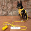 Correa para Perro Impermeable